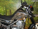 森を進むトレッキングオートバイ　ヤマハ　セロー　森に溶け込む車体グラフィックがステキ。